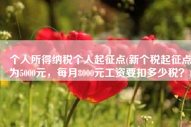 个人所得纳税个人起征点(新个税起征点为5000元，每月8000元工资要扣多少税？)