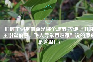 旧时王谢堂前燕是哪个城市(古诗“旧时王谢堂前燕，飞入寻常百姓家”说的原来是这里！)
