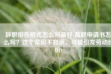 辞职报告格式怎么写最好(离职申请书怎么写？这个常识不知道，可能引发劳动纠纷)