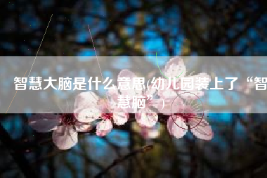 智慧大脑是什么意思(幼儿园装上了“智慧脑”)