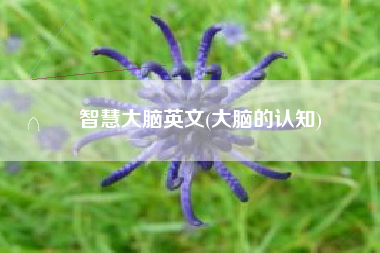 智慧大脑英文(大脑的认知)