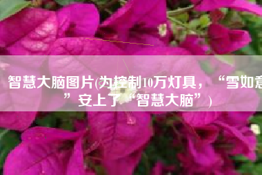 智慧大脑图片(为控制10万灯具，“雪如意”安上了“智慧大脑”)