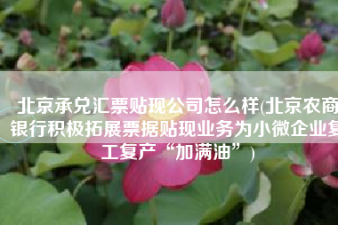 北京承兑汇票贴现公司怎么样(北京农商银行积极拓展票据贴现业务为小微企业复工复产“加满油”)