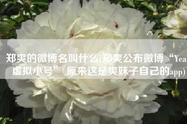 郑爽的微博名叫什么(郑爽公布微博“Yeah虚拟小号” 原来这是爽妹子自己的app)