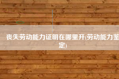 丧失劳动能力证明在哪里开(劳动能力鉴定)