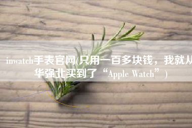 inwatch手表官网(只用一百多块钱，我就从华强北买到了“Apple Watch”)