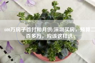 600万房子首付和月供(深圳买房，预算二百多万，应该这样选)