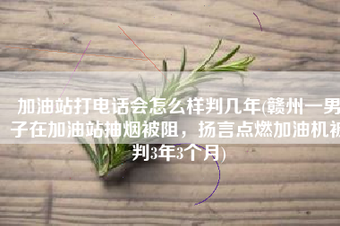 加油站打电话会怎么样判几年(赣州一男子在加油站抽烟被阻，扬言点燃加油机被判3年3个月)