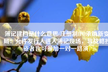 簿记建档是什么意思(注册制IPO承销新变局：允许发行人进入簿记现场，非战略投资者也可参加一对一路演)