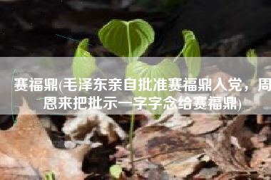 赛福鼎(毛泽东亲自批准赛福鼎入党，周恩来把批示一字字念给赛福鼎)