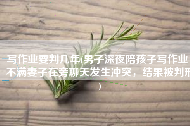 写作业要判几年(男子深夜陪孩子写作业，不满妻子在旁聊天发生冲突，结果被判刑)