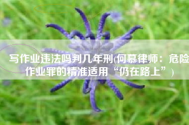 写作业违法吗判几年刑(何慕律师：危险作业罪的精准适用“仍在路上”)