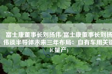 富士康董事长刘扬伟(富士康董事长刘扬伟谈半导体未来三年布局：自有车用关键IC量产)