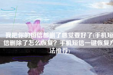 我把你的短信都删了感觉要好了(手机短信删除了怎么恢复？手机短信一键恢复方法推荐)