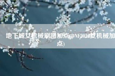 地下城女机械刷图加点(DNF2021女机械加点)
