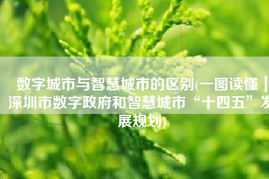 数字城市与智慧城市的区别(一图读懂｜深圳市数字政府和智慧城市“十四五”发展规划)