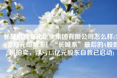 长城影视文化企业集团有限公司怎么样(500多万元即易主！“长城系”最后的A股即将拍卖，浮亏1.5亿元股东自救已启动)
