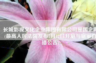 长城影视文化企业集团有限公司是国企吗(最高人民法院发布7月12日开庭与庭审直播公告)