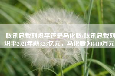 腾讯总裁刘炽平还是马化腾(腾讯总裁刘炽平2021年薪3.23亿元，马化腾为4410万元)