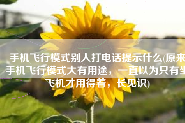 手机飞行模式别人打电话提示什么(原来手机飞行模式大有用途，一直以为只有坐飞机才用得着，长见识)