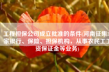 工程担保公司成立批准的条件(河南征集35家银行、保险、担保机构，从事农民工工资保证金等业务)