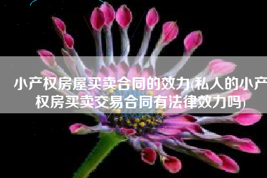 小产权房屋买卖合同的效力(私人的小产权房买卖交易合同有法律效力吗)