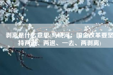 剥离是什么意思(马晓河：国企改革要坚持两进、两退、一去、两剥离)