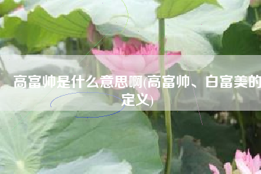 高富帅是什么意思啊(高富帅、白富美的定义)
