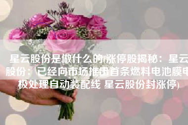 星云股份是做什么的(涨停股揭秘：星云股份：已经向市场推出首条燃料电池膜电极处理自动装配线 星云股份封涨停)