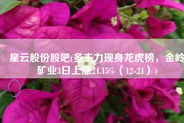 星云股份股吧(多主力现身龙虎榜，金岭矿业3日上涨24.15%（12-21）)