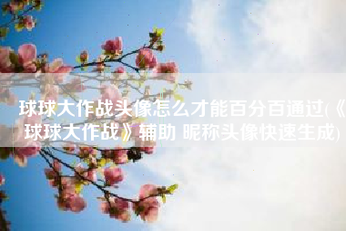 球球大作战头像怎么才能百分百通过(《球球大作战》辅助 昵称头像快速生成)