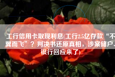 工行信用卡取现利息(工行2.5亿存款“不翼而飞”？判决书还原真相，涉案储户、银行回应来了)
