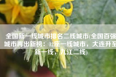 全国新一线城市排名二线城市(全国百强城市再出新榜：12座一线城市，大连升至新一线，九江二线)