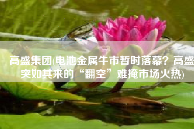 高盛集团(电池金属牛市暂时落幕？高盛突如其来的“翻空”难掩市场火热)