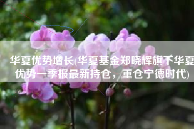 华夏优势增长(华夏基金郑晓辉旗下华夏优势一季报最新持仓，重仓宁德时代)