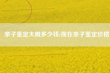 亲子鉴定大概多少钱(现在亲子鉴定价格)