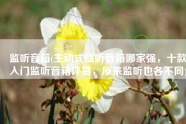 监听音箱(主动式监听音箱哪家强，十款入门监听音箱评赏，原来监听也各不同)