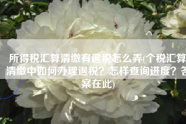 所得税汇算清缴有退税怎么弄(个税汇算清缴中如何办理退税？怎样查询进度？答案在此)