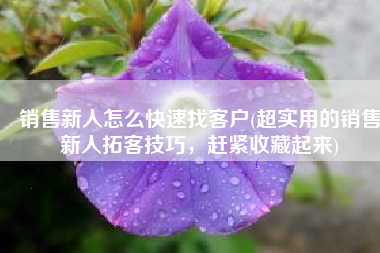 销售新人怎么快速找客户(超实用的销售新人拓客技巧，赶紧收藏起来)