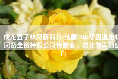 成龙妻子林凤娇简介(结婚39年却因退出林凤娇全资持股公司传婚变，成龙发声回应了)