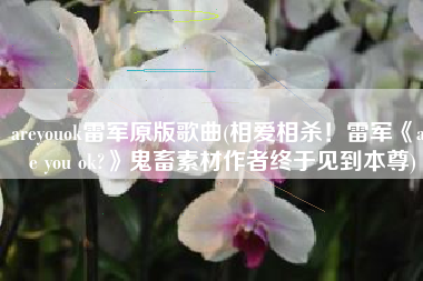 areyouok雷军原版歌曲(相爱相杀！雷军《are you ok?》鬼畜素材作者终于见到本尊)