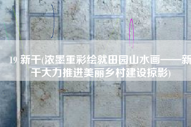 19 新干(浓墨重彩绘就田园山水画——新干大力推进美丽乡村建设掠影)