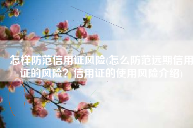 怎样防范信用证风险(怎么防范远期信用证的风险？信用证的使用风险介绍)