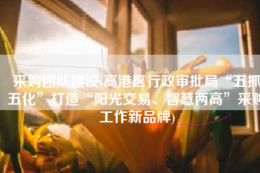 采购团队建设(高港区行政审批局“五抓五化”打造“阳光交易、智慧两高”采购工作新品牌)