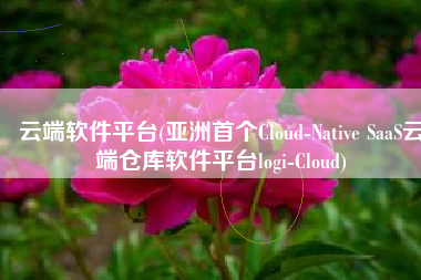 云端软件平台(亚洲首个Cloud-Native SaaS云端仓库软件平台logi-Cloud)