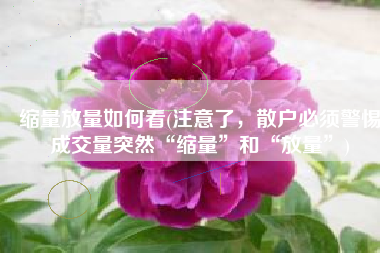 缩量放量如何看(注意了，散户必须警惕成交量突然“缩量”和“放量”)