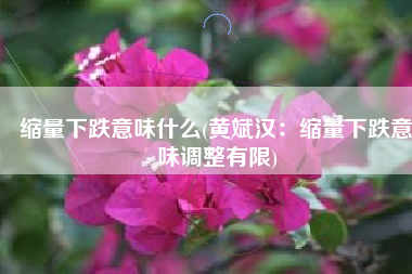 缩量下跌意味什么(黄斌汉：缩量下跌意味调整有限)