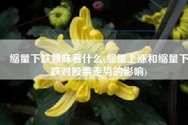 缩量下跌意味着什么(缩量上涨和缩量下跌对股票走势的影响)