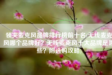 领夹麦克风品牌排行榜前十名(无线麦克风哪个品牌好？无线麦克风十大品牌是哪些？附选购攻略)