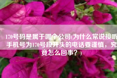 170号码是属于哪个公司(为什么常说接听手机号为170号段开头的电话要谨慎，究竟怎么回事？)